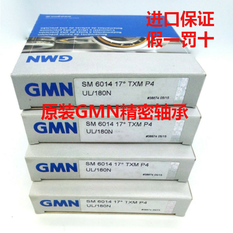 BHT 6001 C TAM HG gefettet轴承