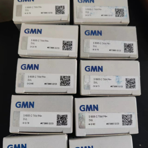 GMN SM 6009 C TA P4 UL轴承