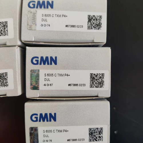 GMN SM 6005 C TA UP DUM轴承
